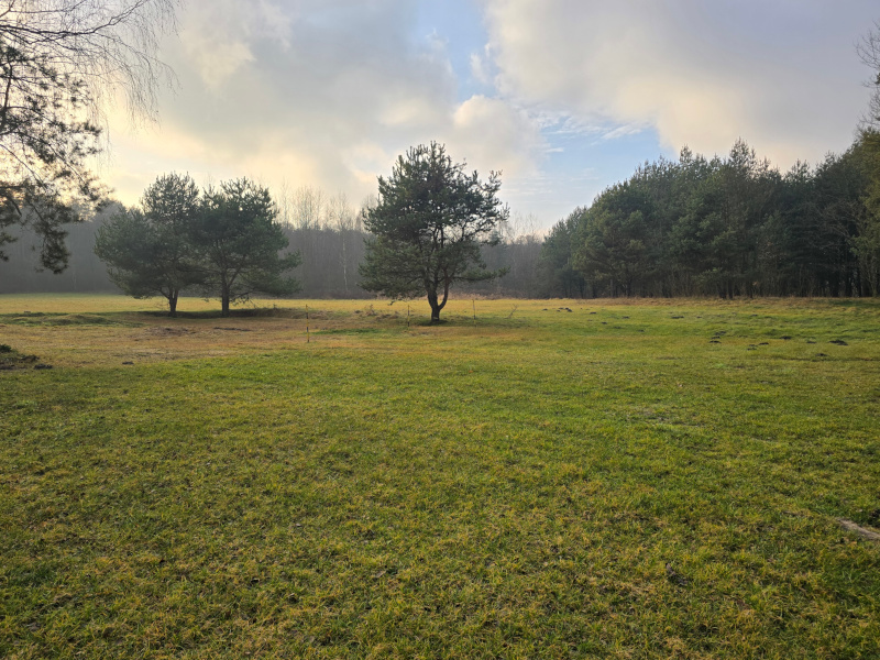 Agroturystyka na polanie