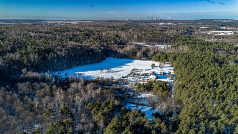 Natura wokół Krzykawki